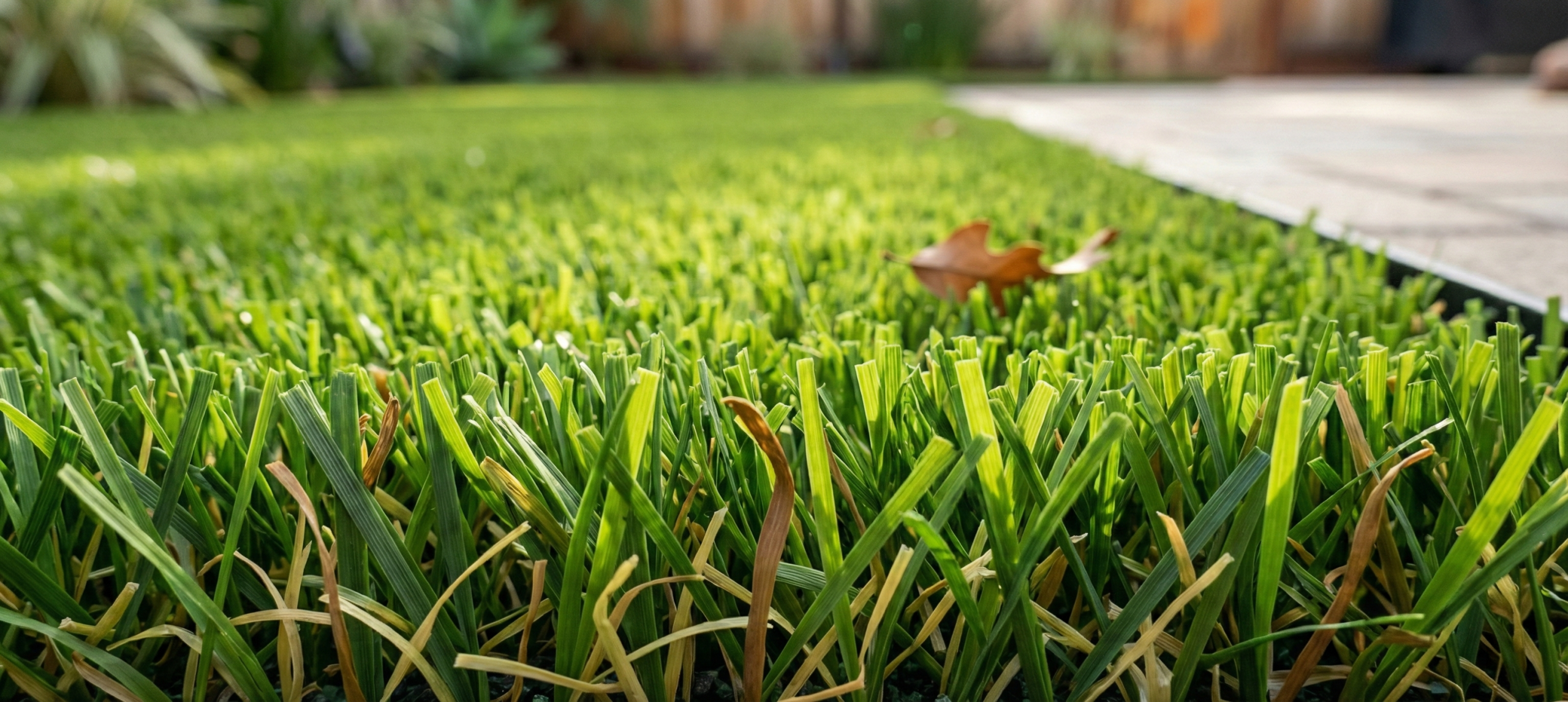 Artificial Turf